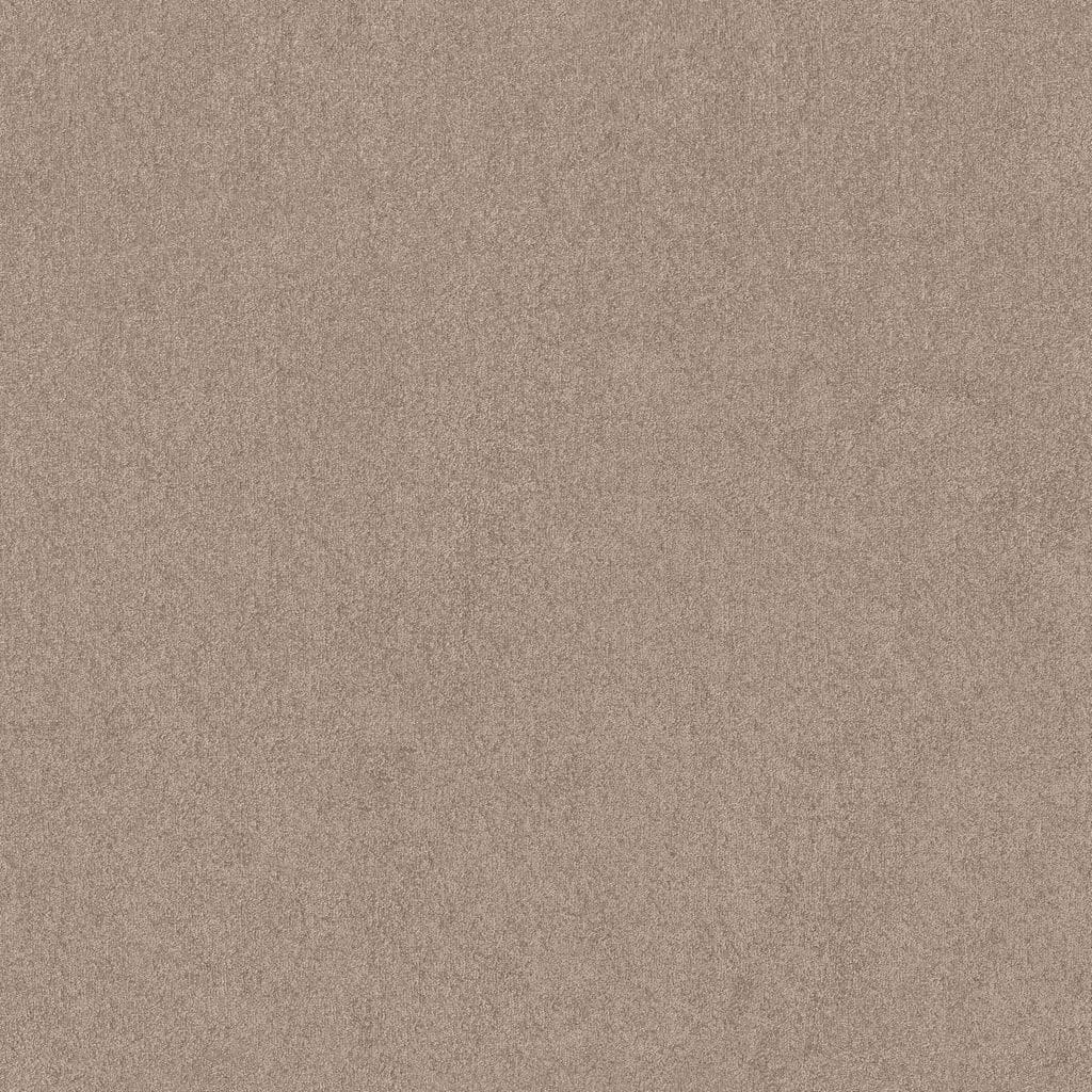 Tapijt grijsbeige trapgeschikt actie - ART Woninginrichting Tapijt grijsbeige trapgeschikt actie - ART Woninginrichting